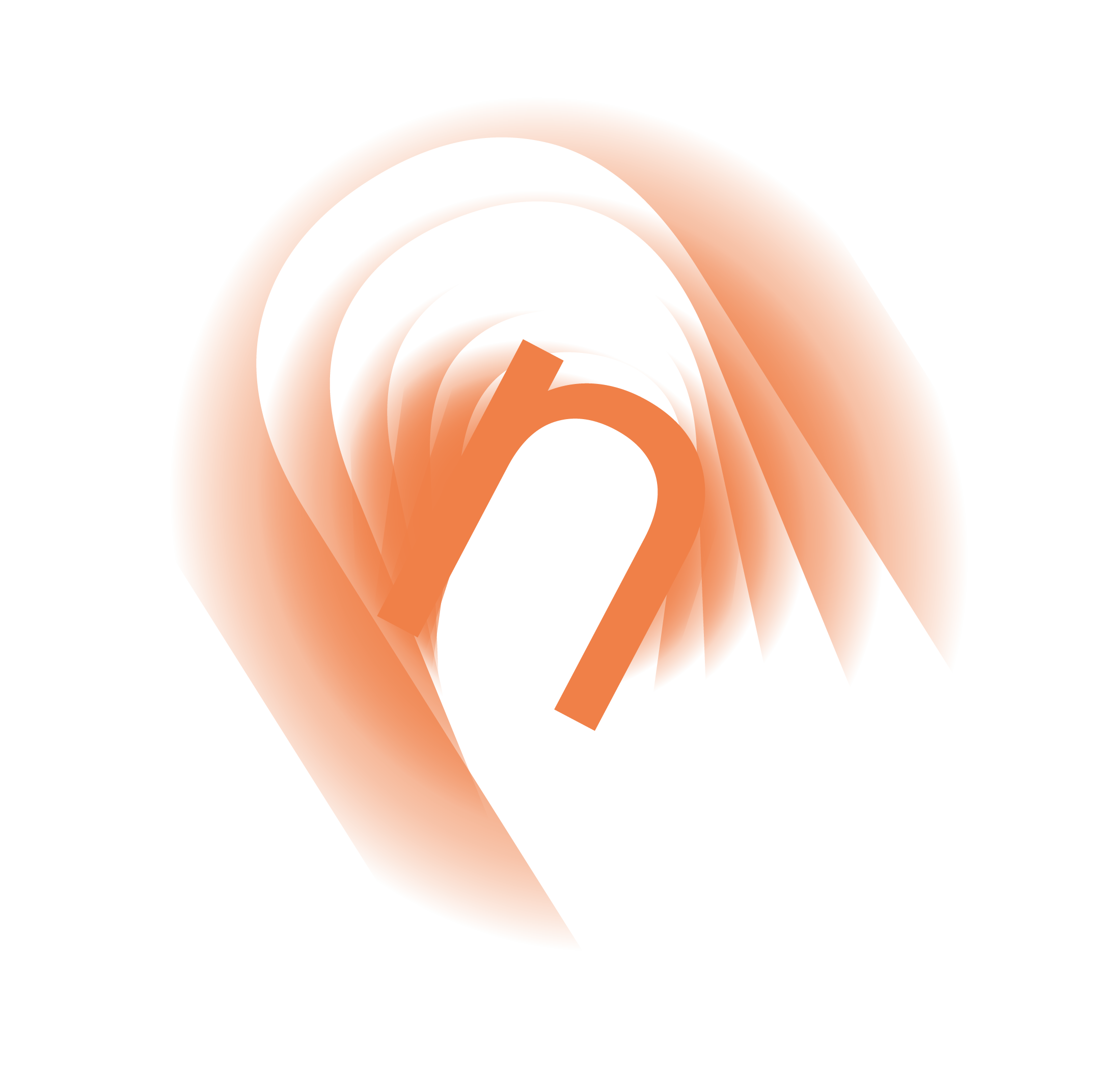 n2